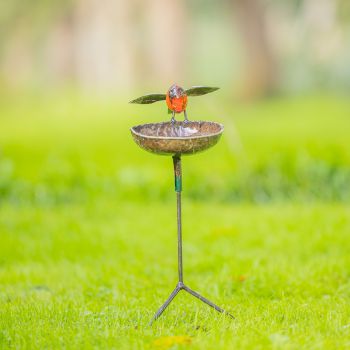 Roodborst waterschaal op driepoot